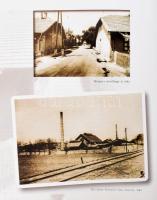 Ajka Crystal 1878-2002. Szerk.: Pataki Judit, Varga Vera. Ajka, 2002., Ajka Crystal Ltd. Angol nyelv...