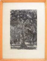 Józsa Sándor (1910-1989): Erdőrészlet, 1986. Szén, papír, jelezve balra lent, üvegezett fakeretben, ...