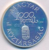 1995. 1000Ft Ag "Régi dunai hajók III - Hableány" T:PP kis folt, ujjlenyomat
Adamo EM139