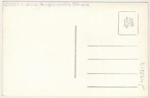 Marosfő, Izvoru Muresului; Siesta pensio, üdülőtelep / holiday resort, hotel. Lőrincz fényképész (Gy...