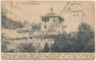 1913 Menyháza, Monyásza, Moneasa; Andrényi kastély / castle (b)