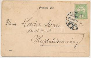 1913 Menyháza, Monyásza, Moneasa; Andrényi kastély / castle (b)