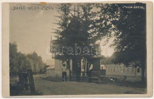 1930 Zajzon, Zaizon-fürdő, Zajzonfürdő, Baile Zizin; Vila Sofia / villa / villa. photo (vágott / cut)