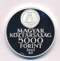 2003. 5000Ft Ag "A Rákóczi szabadságharc 300. évfordulója" kapszulában T:PP Adamo EM186