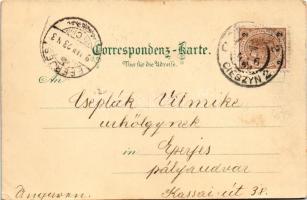 1899 (Vorläufer) Opava, Troppau; Engelsbergdenkmal Bahnring, Berggasse / villas, monument. Verlag Pr...