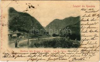 1902 Ramnicu Valcea, Positiune iutre Bivolari si Sipotile (fl)