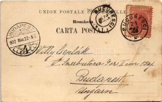 1902 Ramnicu Valcea, Positiune iutre Bivolari si Sipotile (fl)