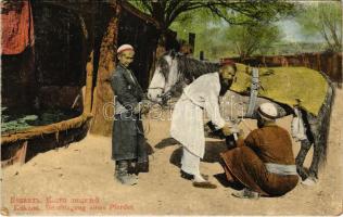 Kokand, Beschlagung eines Pferdes / shoeing a horse, Uzbek folklore (EK)