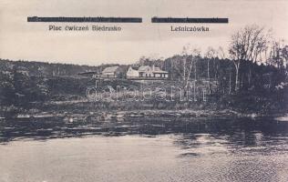 Lesniczówka Biedrusko military practice field (EK)