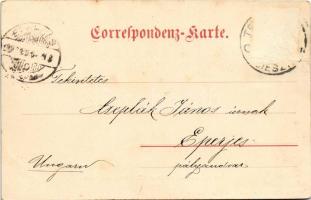 1899 (Vorläufer) Cieszyn, Teschen; Olsabrücke / bridge, castle. Verlag v. Ed. Feitzinger (Rb)