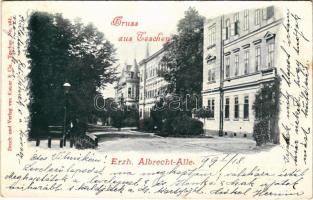 1899 (Vorläufer) Cieszyn, Teschen; Erzh. Albrecht-Allee / street view. Druck und Verlag v. Kutzer &amp; Cie. (EB)