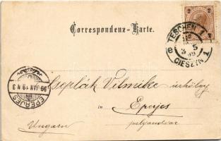 1899 (Vorläufer) Cieszyn, Teschen; Erzh. Albrecht-Allee / street view. Druck und Verlag v. Kutzer &a...