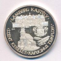 DN "Móri Bor Napok - Wekerle Sándor Egyesülete Mór" peremen jelzett Ag emlékérem (31,62g/0...