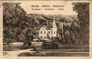 1940 Beszterce, Bistritz, Bistrita; Sétatér. Gustav Zikeli / Promenade Park (fa)