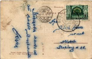 1940 Beszterce, Bistritz, Bistrita; Sétatér. Gustav Zikeli / Promenade Park (fa)