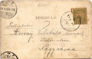 1904 Tusnád-fürdő, Baile Tusnad; gyógyterem. Brunner Lajos kiadása / spa (lyuk / pinhole)