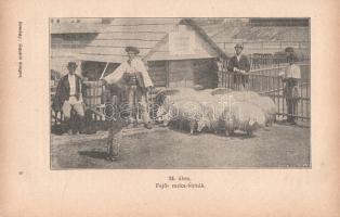 Rombay Dezső (István gazda):
Gazdák könyve. Mezőgazdaság, állat-, baromfi- és selyemtenyésztés, méh...