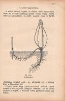 Rombay Dezső (István gazda):
Gazdák könyve. Mezőgazdaság, állat-, baromfi- és selyemtenyésztés, méh...