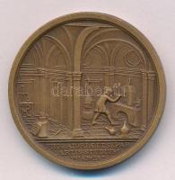 1969. "VASKUT - Vasipari Kutató Intézet Budapest 1949-1969" kétoldalas bronz emlékérem, há...