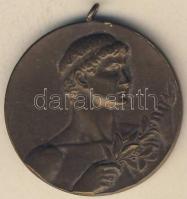 1924. "B.P.L.E. - Mélylövés" Br díjérem T:2 + DN "Csepel Vas- és Fémművek törzsgárda ...