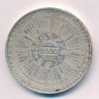 2000. "Pro Museo" fém naptárérem (42mm) T:XF ph, patina