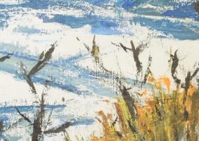 Olvashatatlan jelzéssel: Téli táj. Olaj, farost. Üvegezett fakeretben. 54,5x78 cm