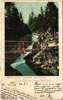 1901 Tátra, Magas-Tátra, Vysoké Tatry; Nagytarpataki felső vízesés. Cattarino kiadása / Gross Kohlbach, Oberer Wasserfall / waterfall (szakadás / tear)