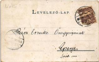 1901 Tátra, Magas-Tátra, Vysoké Tatry; Nagytarpataki felső vízesés. Cattarino kiadása / Gross Kohlba...