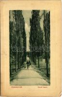 1911 Érsekújvár, Nové Zámky; Vasúti fasor, kerékpáros férfi. W.L. Bp. 433. 1910-13. 9746. / railway promenade with man on bicycle (ázott / wet damage)