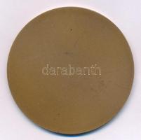 ~1970. "Tiszai Erőmű Vállalat - Leninváros" bronz emlékérem (69mm) T:AU