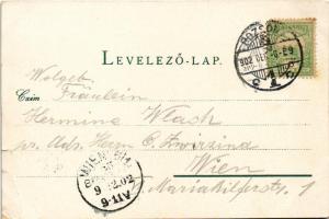 1902 Pozsony, Pressburg, Bratislava; vár. J. Wohlmuth kiadása / castle (szakadások / tears)