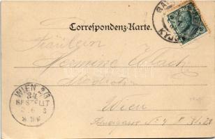 1903 Kyjov, Gaya; Hauptplatz / main square, shop of Müller (EK)