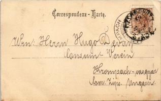 Chernivtsi, Czernowitz, Cernauti, Csernyivci (Bukovina, Bukowina); Rathhaus, Heinrich Sause Juvelier...