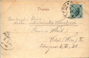 1901 Pacov, Patzau; Zámek, parku / castle and park (EK)