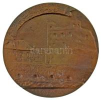 Nagy István János (1938- ) DN "Lórántffy Zsuzsanna Fejedelemasszony / A fejedelemasszony hozomá...