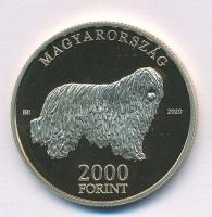 2020. 2000Ft Cu-Ni-Zn "Komondor" kapszulában T:P Adamo EM411