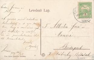 1909 Dunavecse, Állami elemi népiskola. Özv. Kohn Józsefné kiadása (EK)