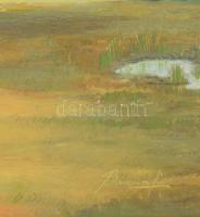 Olvashatatlan jelzéssel (Barczánfalvi Ferenc?): Tanya. Olaj, fa. Dekoratív fakeretben. 40×50 cm