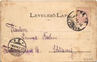 1899 (Vorläufer) Szlatinafüred, Slatina (Aknaszlatina, Solotvyno; Máramaros); Pável sósfürdő. Mayer ...