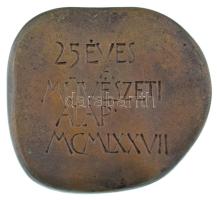 Asszonyi Tamás (1942-) 1977. "25 éves a Művészeti Alap MCMLXXVII" kétoldalas bronz plakett...