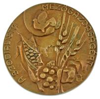 Lajos József (1936-) DN "A szocialista mezőgazdaságért" egyoldalas bronz emlékérem (91mm) T:AU