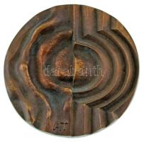 Asszonyi Tamás (1942- ) ~1980. "25 éves a Győri Tervező Vállalat" kétoldalas bronz emlékér...