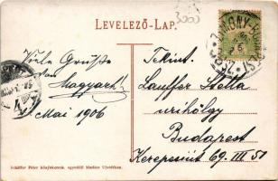 1906 Újvidék, Novi Sad; Úri utca. Schäffer Péter kiadása / Herren-Gasse / street + "ZIMONY-BUDA...