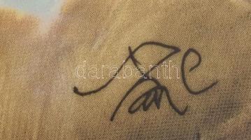 Hollóházi Szász Endre festményével díszített porcelán kép, 14x18 cm. Matricás, jelzett, keretben 41x...