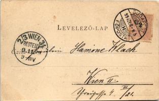 1899 (Vorläufer) Budapest II. Szent Lukács és Császár fürdő (EK)