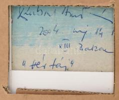 Rubint Ávrahám Péter (1959-): (...) táj, 2004. Olaj, karton, jelezve jobbra fent, hátoldalán autográ...