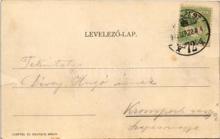 Budapest VII. Petánovits József Hotel Metropole szálloda és kávéház reklámja. Rákóczi út 58. (fa)