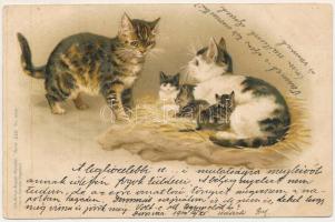 1900 Cats. Lith.-Artist. Anstalt Serie XIII. litho (ázott sarkak / wet corners)