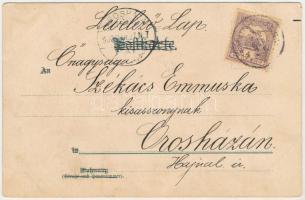 1900 Cats. Lith.-Artist. Anstalt Serie XIII. litho (ázott sarkak / wet corners)