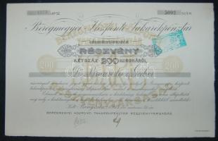 1913. "Beregmegyei Központi Takarékpénztár Részvénytársaság" részvények 200K-ról, szelvényekkel